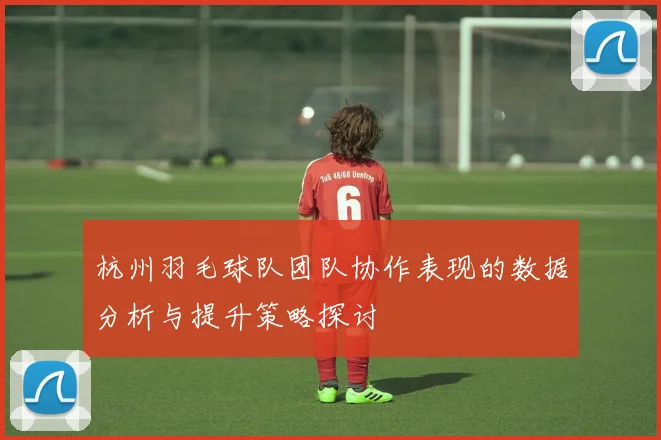 杭州羽毛球队团队协作表现的数据分析与提升策略探讨