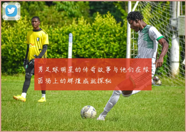 男足球明星的传奇故事与他们在绿茵场上的辉煌成就探秘