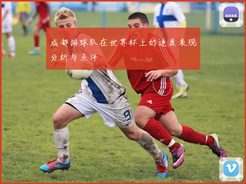 成都排球队在世界杯上的速度表现分析与点评