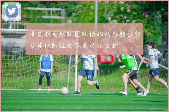 重庆羽毛球队团队协作的独特优势与其他队伍的深度对比分析